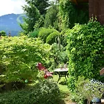 In Mit Garten