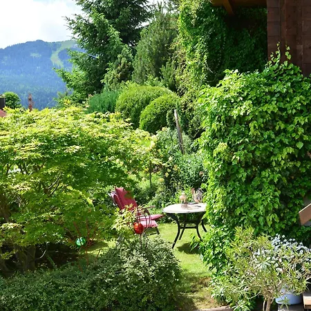 In Mit Garten